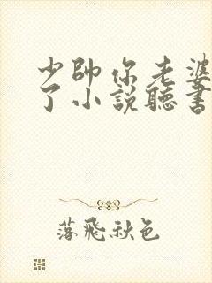 少帅你老婆又跑了小说听书