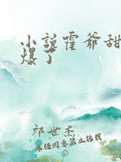 小说霍爷甜妻飒爆了