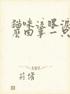 猫咪流眼泪是怎么回事一只眼睛流