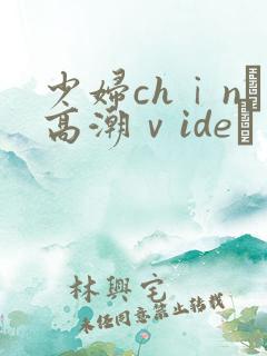 少妇chⅰnα高潮ⅴideσ