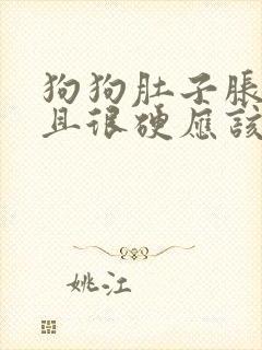 狗狗肚子胀气而且很硬应该怎么办