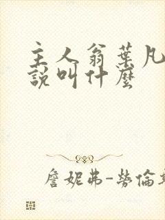 主人翁叶凡的小说叫什么