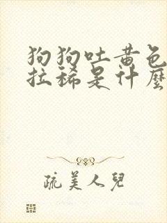 狗狗吐黄色液体拉稀是什么原因