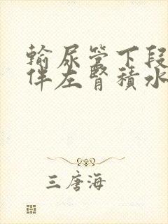 输尿管下段结石伴左肾积水