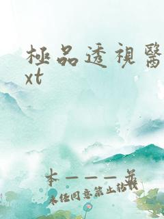 极品透视医圣txt