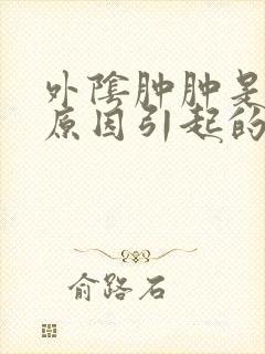 外阴肿肿是什么原因引起的