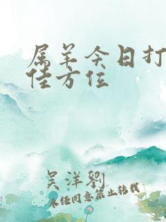 属羊今日打牌最佳方位