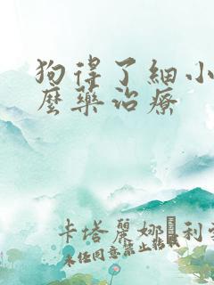 狗得了细小吃什么药治疗