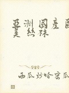 亚洲 国产 欧美 丝袜