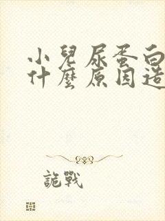 小儿尿蛋白高是什么原因造成的怎么治疗