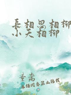 长相思相柳番外小夭相柳