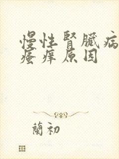 慢性肾脏病皮肤瘙痒原因