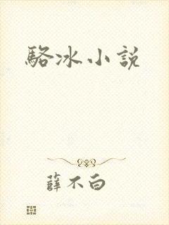 骆冰小说