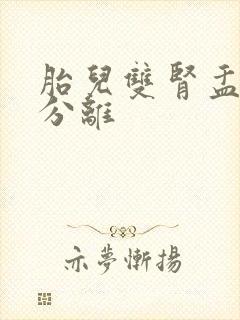 胎儿双肾盂未见分离