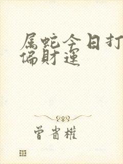 属蛇今日打牌的偏财运