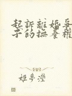 起诉离婚争取孩子的抚养权