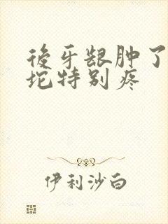 后牙龈肿了个肉坨特别疼