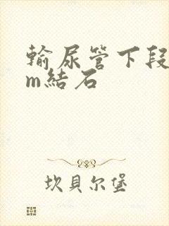 输尿管下段7mm结石