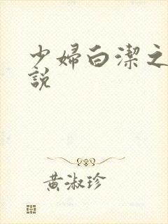 少妇白洁之类小说