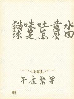 猫咪吐黄水带毛球是怎么回事