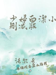 少妇白洁小说未删减版