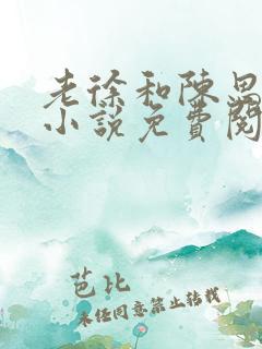 老徐和陈思雅的小说免费阅读