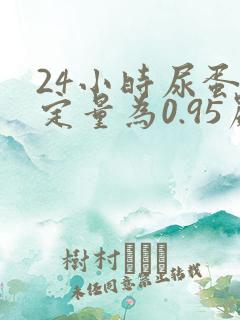 24小时尿蛋白定量为0.95严重吗