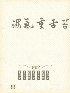 湿气重舌苔黄腻