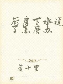 厨房下水道太臭了怎么办