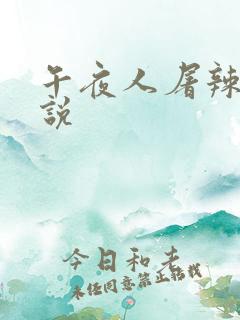 午夜人屠辣文小说