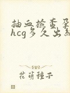 抽血检查孕酮和hcg多久出结果