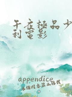 午夜极品少妇福利电影