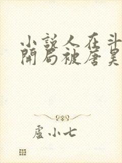 小说人在斗罗,开局被唐昊抛弃txt