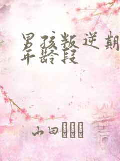 男孩叛逆期什么年龄段