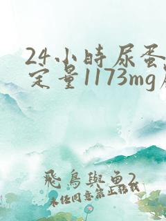 24小时尿蛋白定量1173mg严不严重