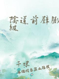 阴道前壁膨出2级