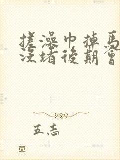 搓澡巾掉马桶里没堵后期会不会堵