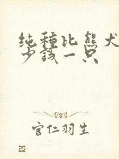 纯种比熊犬狗多少钱一只