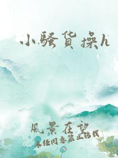 小骚货操h