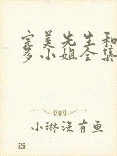 完美先生和差不多小姐全集免费