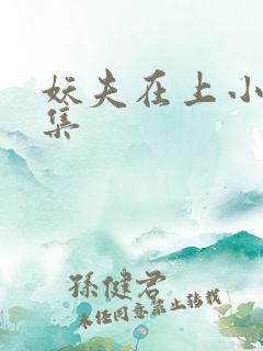 妖夫在上小说全集