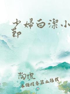 少妇白洁小说章节