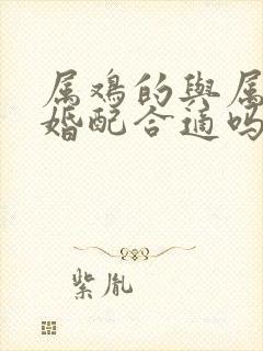 属鸡的与属马的婚配合适吗