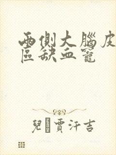 两侧大脑皮层下区缺血灶