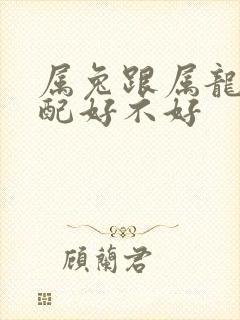 属兔跟属龙的婚配好不好