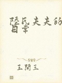 陆氏夫夫的婚后日常