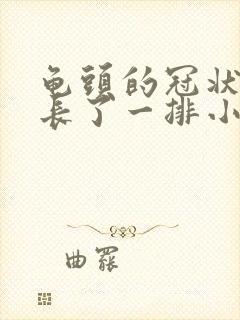 龟头的冠状沟上长了一排小肉疙瘩