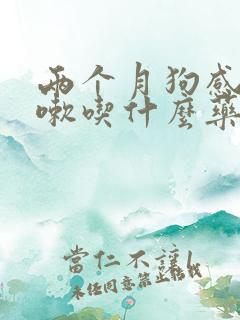 两个月狗感冒咳嗽吃什么药