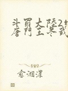 斗罗大陆2绝世唐门王冬武魂