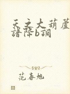 天之大葫芦丝简谱降b调